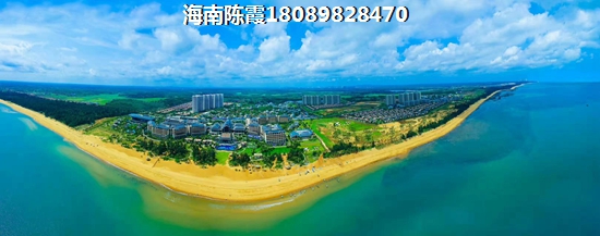 锦地繁花有哪些生纸空间~1