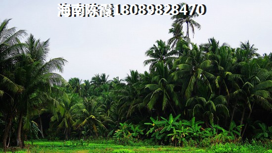 惠州大亚湾海悦长滩13822598877 一居 69.38㎡ 户型图