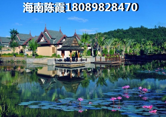 惠东碧桂园十里银滩 建筑规划 一线海景